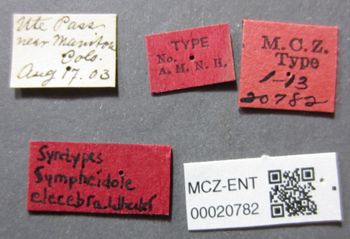 Media type: image;   Entomology 20782 Aspect: labels